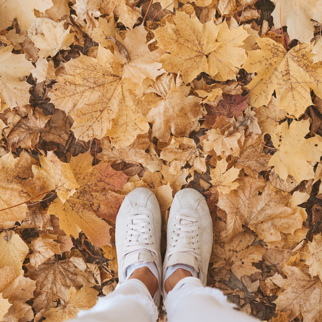 How to Thrive this Autumn and Winter